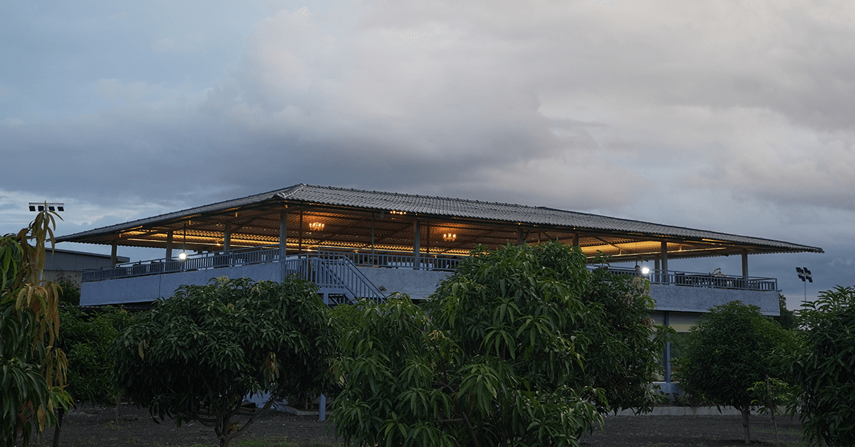 Top Reasons Tourists Love Bijaspur Royale Tree Resort