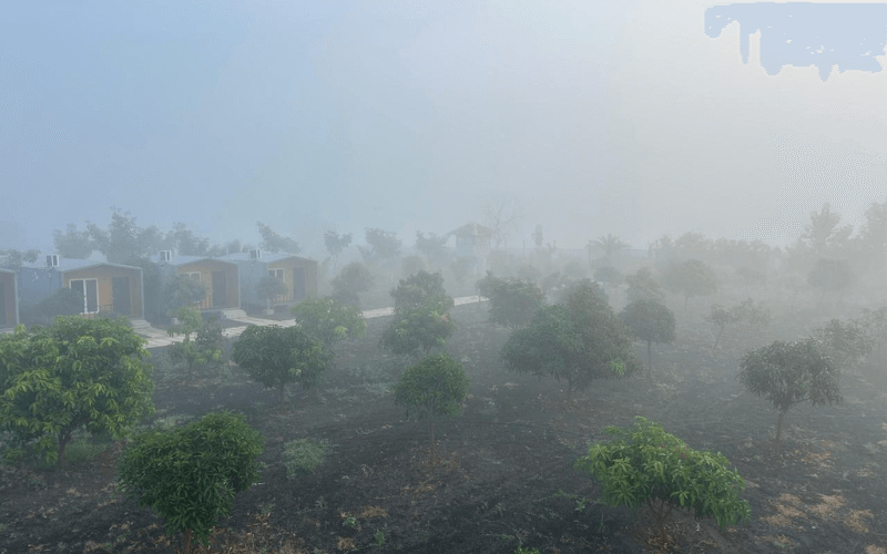 Mangrove Cottages